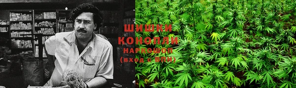 мет Абаза