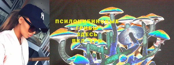 мет Абаза